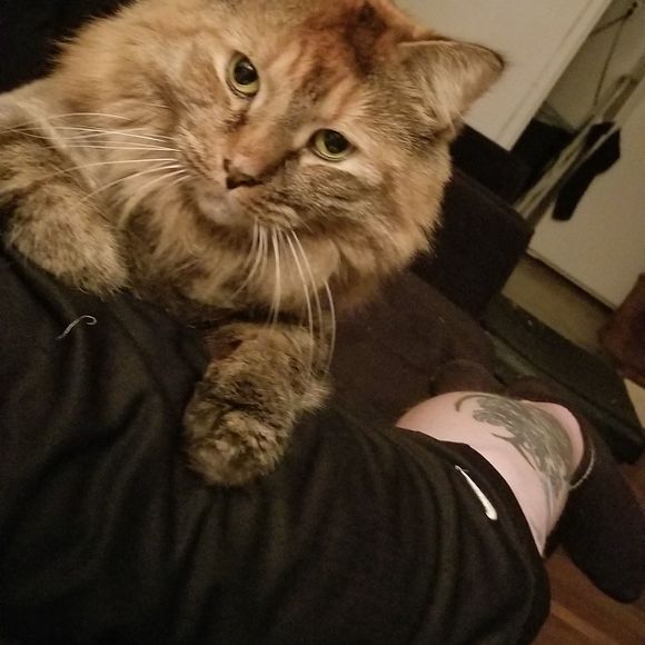 Meet your Posher, Mike - Picture 1 of 1